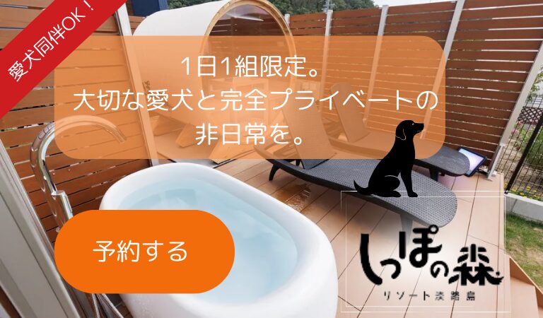 雨の日プラン｜1日1組限定！愛犬と過ごすプライベートリゾート予約はこちら